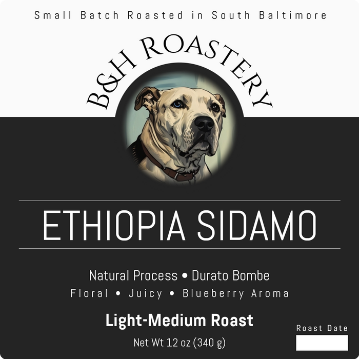 Ethiopia Sidamo