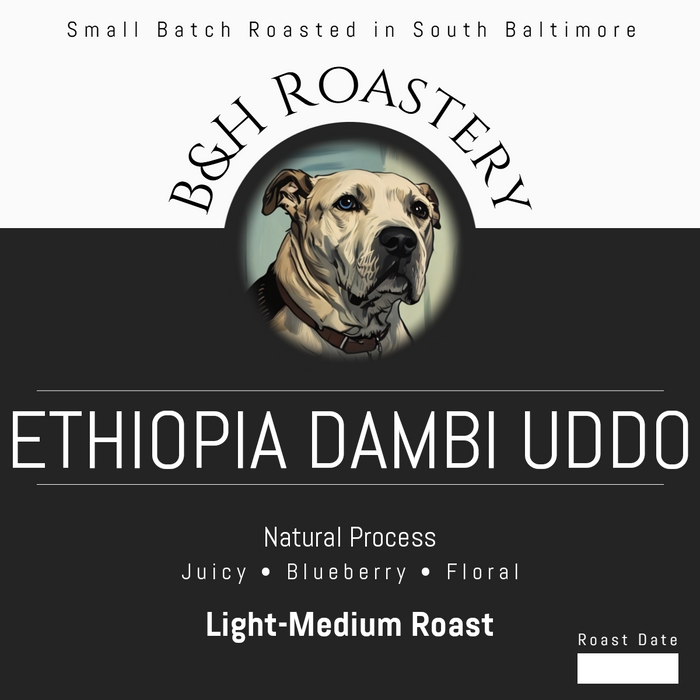 Ethiopia Dambi Uddo